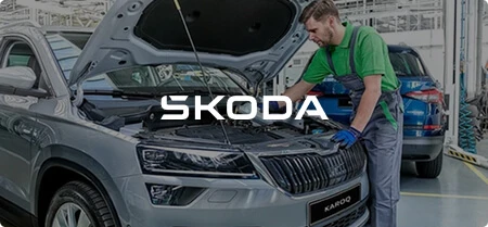 Škoda Servicing